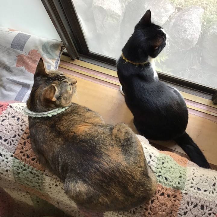 22f0884d 439b 479b 9e81 92c3eabbd79a 1647153277786