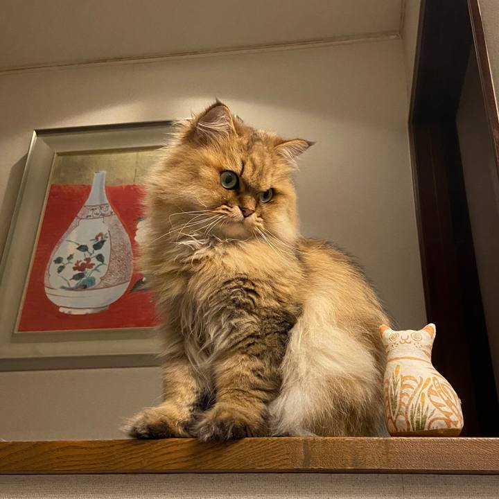 22f08c81 ef7a 42c2 8a7b 2d4fbaf5e0e8 1598226641268