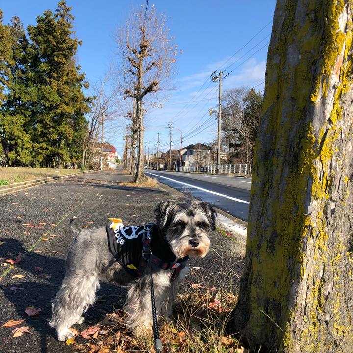 22f0b8f5 5edd 4d3c a5eb c302b80b44cb 1639195849320