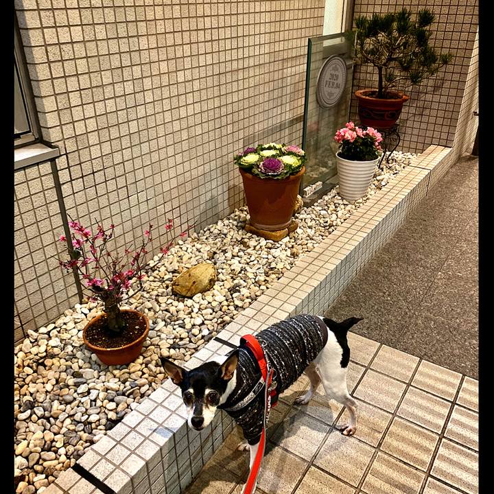 22f0cd30 e684 49a4 a770 ba7c0cfc7213 1580824948866