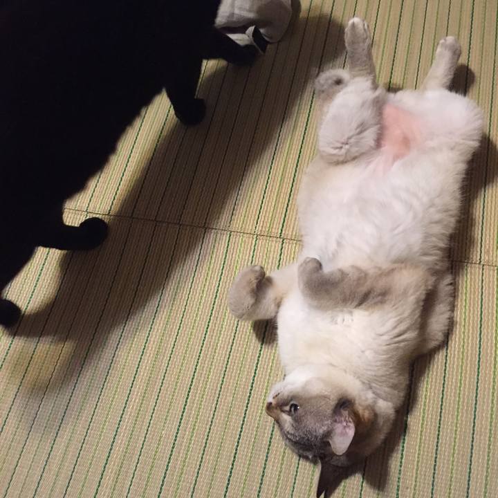 22f0e0fc b4e4 412c 8cac ae9ff3ad6758 1528458906046