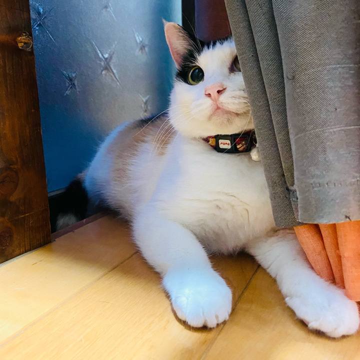 22f13664 7b8e 41b1 937d a63f1bf3f9f6 1656622345692