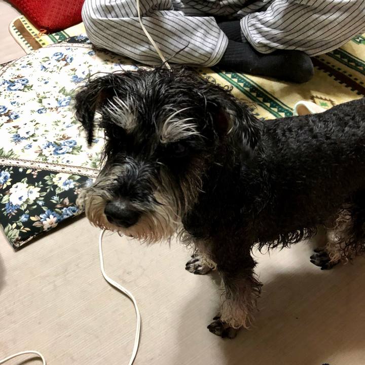 22f13e01 bee5 44f7 95f6 520097d79d7b 1648735812840