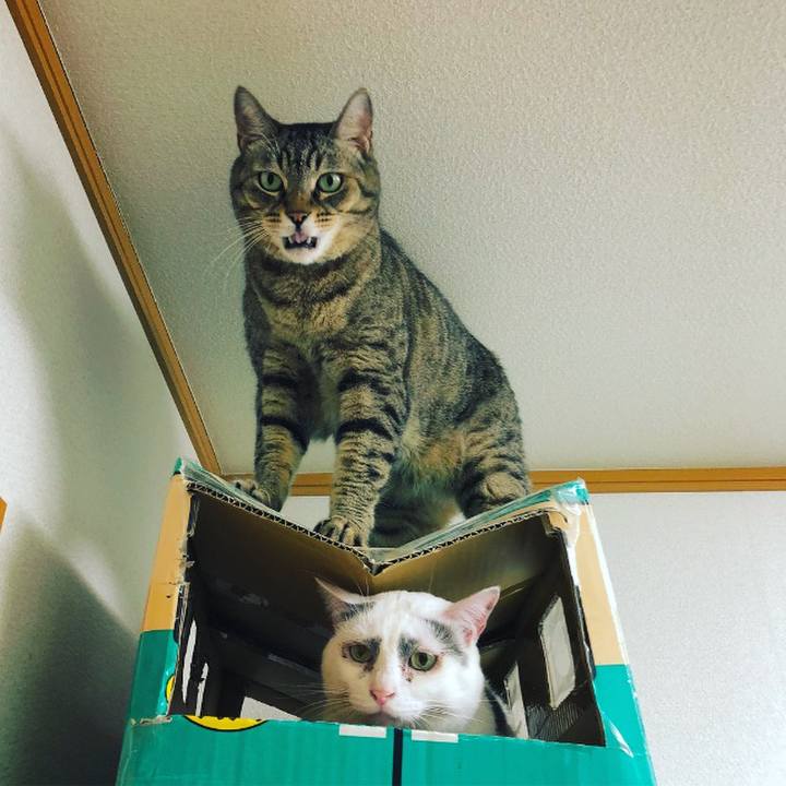 22f144dc c193 4ed3 a76d 47cd239c92d8 1530270582834