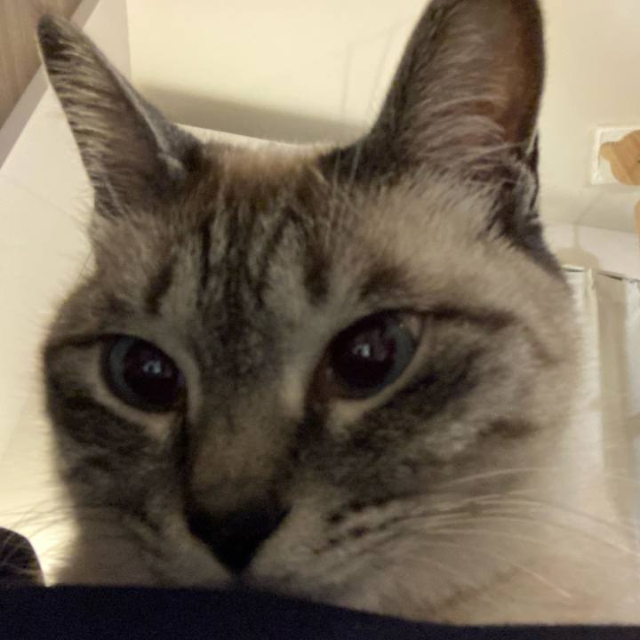 22f191fe d0d6 477f afe1 3eecab0884ec 1621673156359