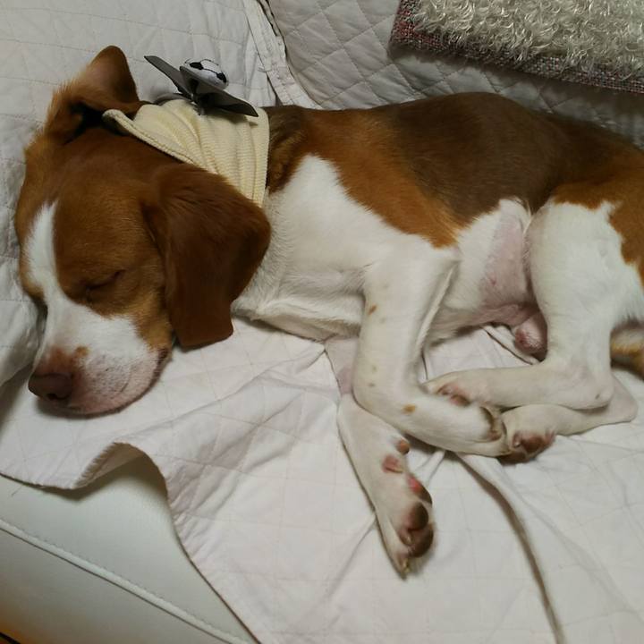 22f19c94 c9bd 416f b620 5d5fefcd83fc 1524664556037