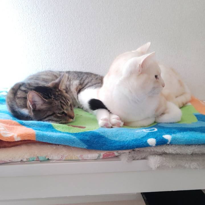 22f1c248 0e36 45a1 bf54 49ef8cbdf434 1676154633149