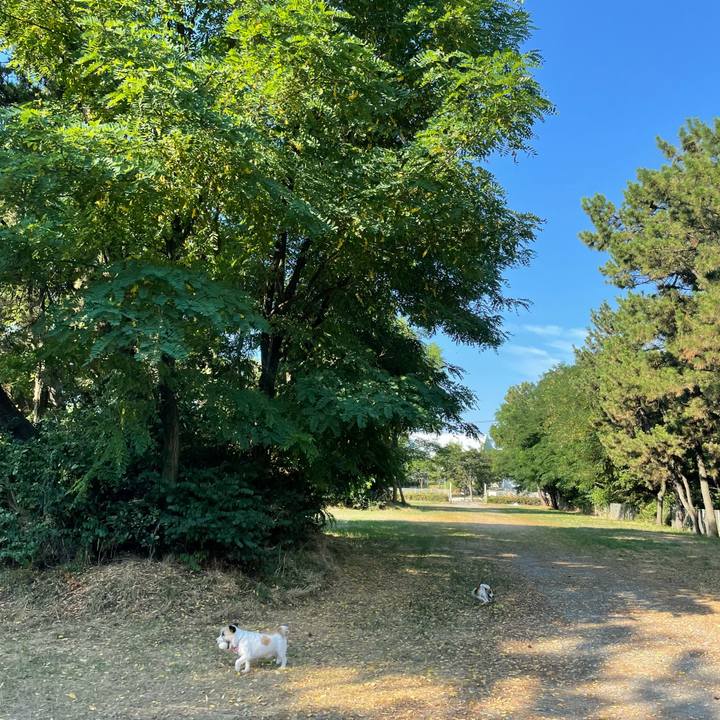 22f1c3c4 dd02 46b8 b359 f6ca6cf313e3 1628204737480