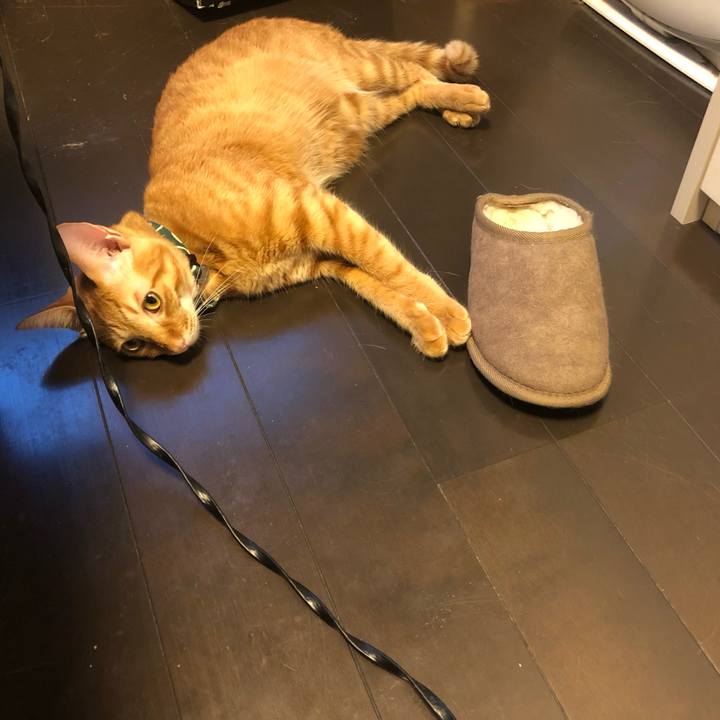 22f1fede ac9b 4c89 b8d1 3137773a0f30 1628488594600