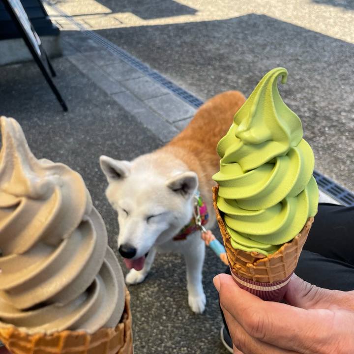 22f216e0 7719 42f6 8d5f ea538e43f9b2 1664689139470