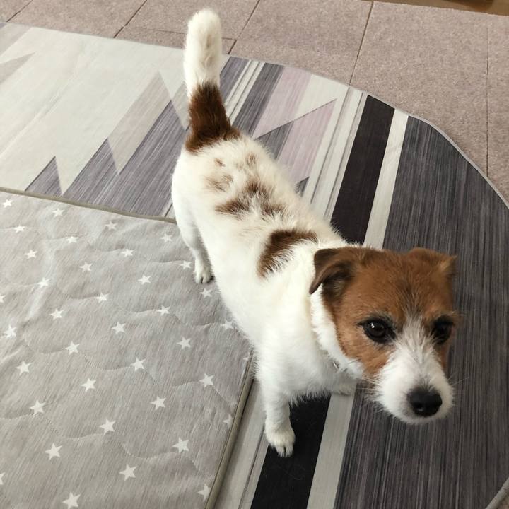 22f259d2 44b8 4562 b98c ed335a8521e4 1592396843873