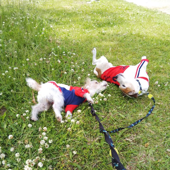 22f29a3e 193d 4c19 979f 0c162d245d83 1525586633202