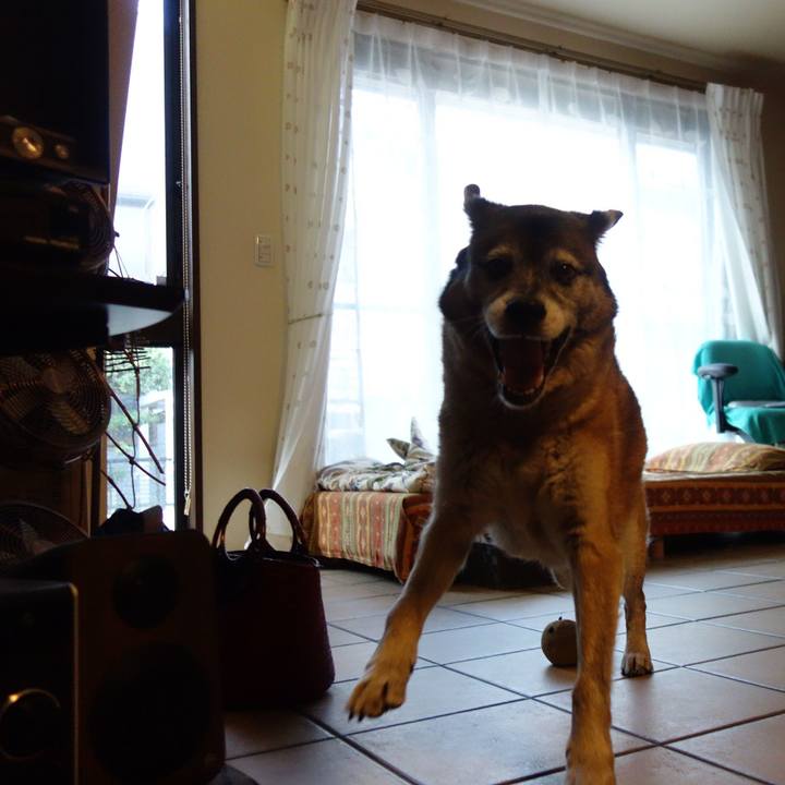 22f2b667 5dde 4c21 b807 de9d9c1bfe69 1564789137748