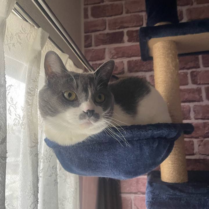 22f2c8f9 291c 4200 8275 ef5eada803ac 1709595517205