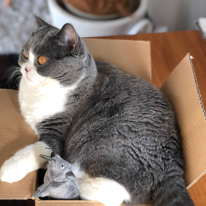 22f2ea4e 6e37 464b b404 2aef8239241d 1512803952087