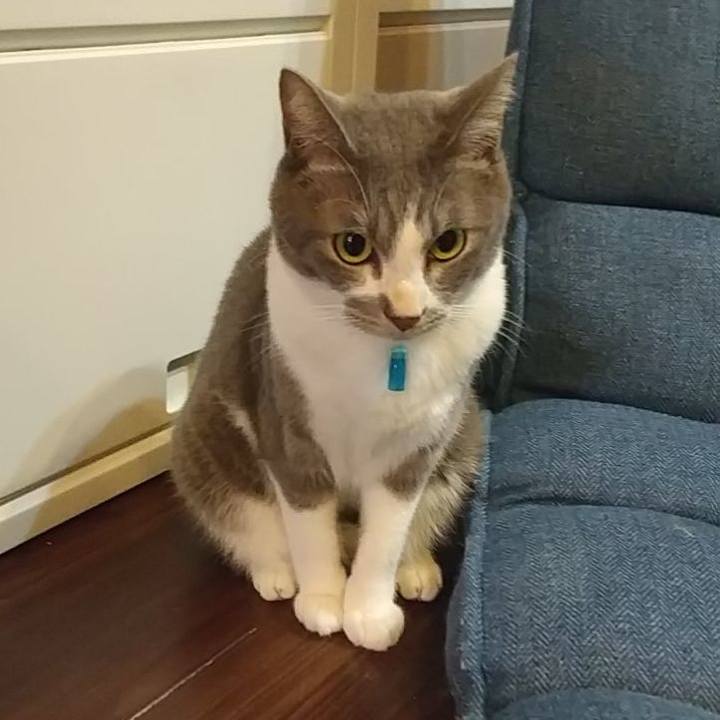 22f30d00 c50f 43ca add9 a7b78597dc18 1638999950056