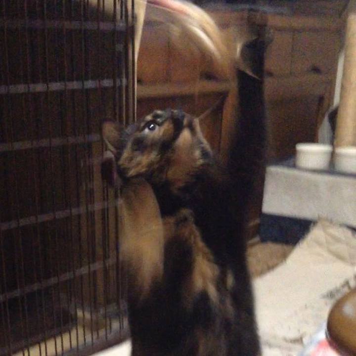 22f32038 a041 412a ac17 406e1cd998f6 1518679580654