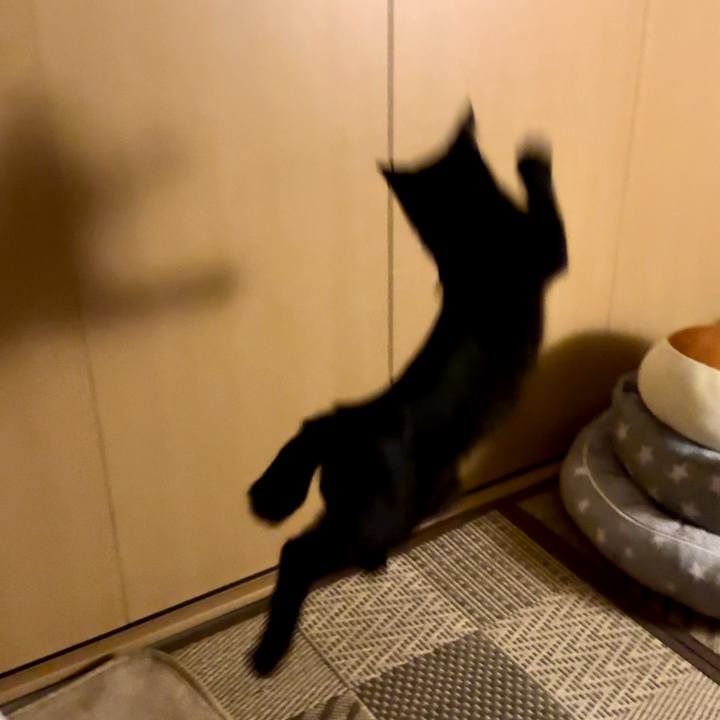 22f325f2 896a 4f38 8396 8d27a0d2bbf5 1725804231242