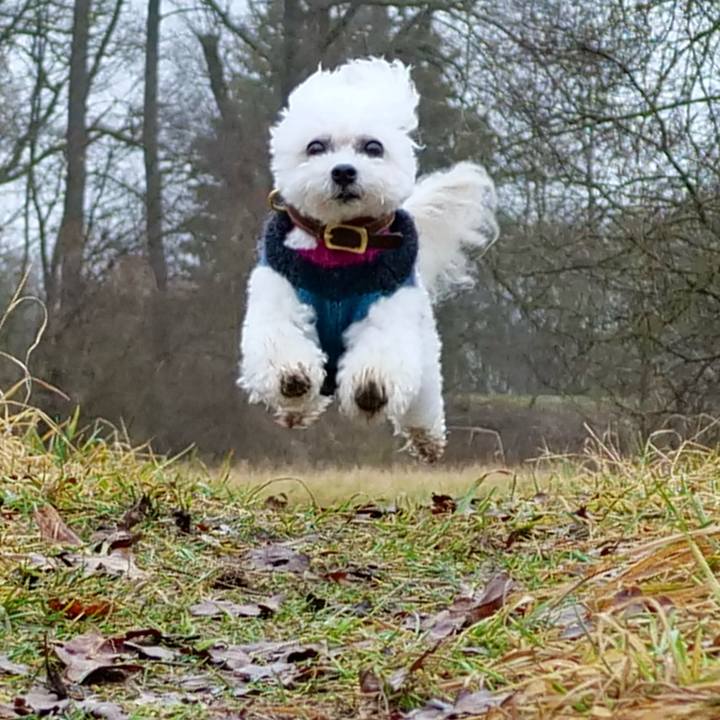 22f33bc8 abe7 4149 8c4a 651ed8e80940 1766610751656