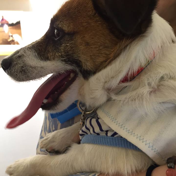 22f35cab f166 4126 83c6 8b852b7c9003 1524299672672