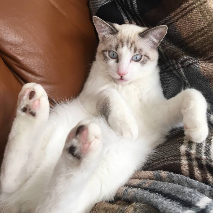 22f36f96 f8cd 485a aaba 83d1e3ff001d 1514510925647