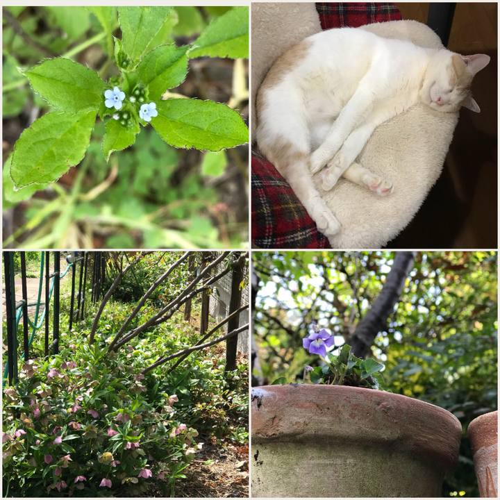 22f39230 a04e 4b30 9d5d 811a2141fc87 1522323578508