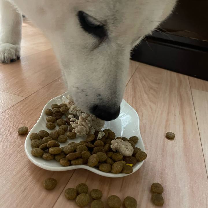 22f3b899 115e 4275 b1ed 4a10e98c5b0f 1691064669001