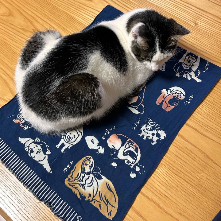 22f3cc41 5757 4bb2 8553 cb485ce6784c 1716385894370