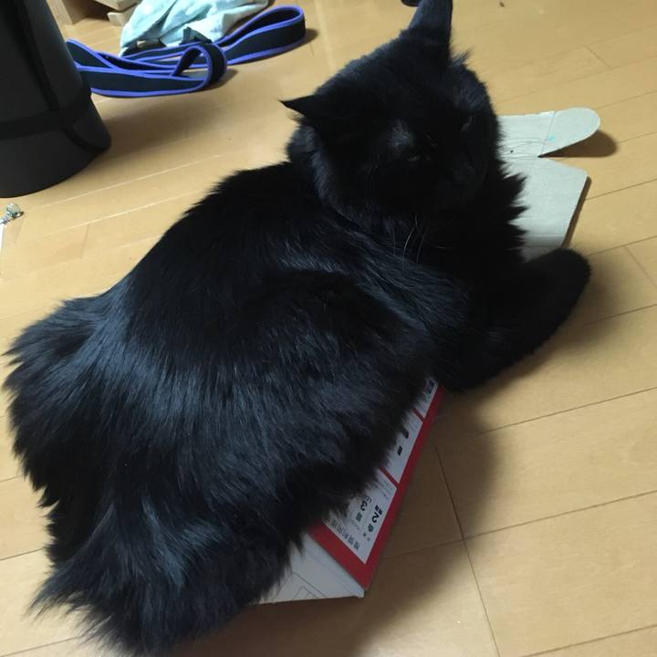 22f3e031 4d58 42ee ac90 7c10b9c840b1 1557446877066