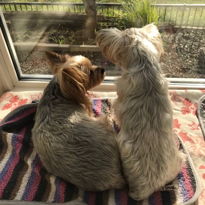 22f3f4af e30c 4d7a 9258 7966f85b6dc1 1571473102729