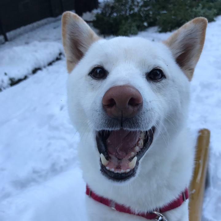 22f3f675 6d2f 4ba2 aa03 bf35517f0184 1516665668476