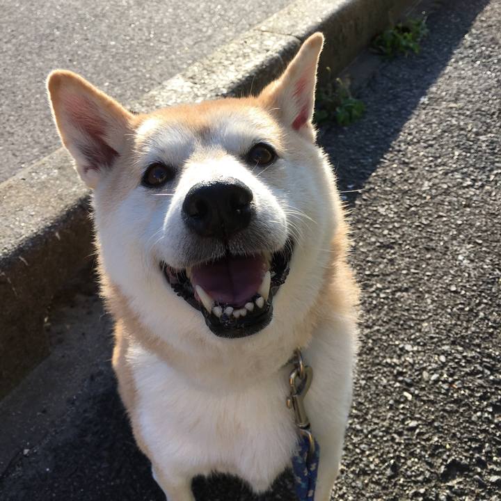 22f4005f 68f5 4559 890b 9e032d259586 1512059249454