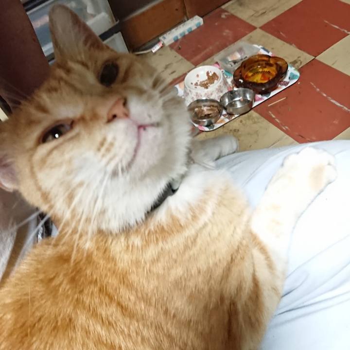 22f4149e 7b68 461b 9463 26e31a49949a 1590573411133