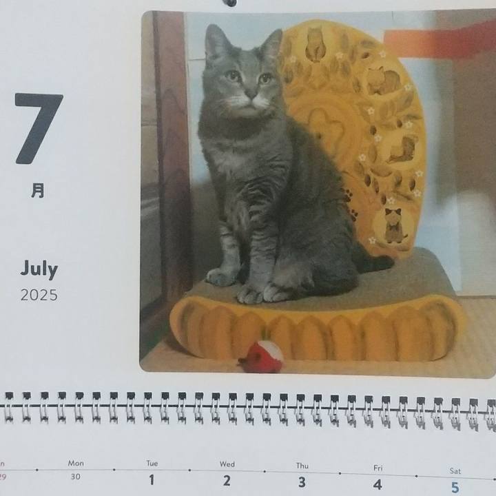 22f42990 c238 4100 9b94 b07b294af782 1751319098706