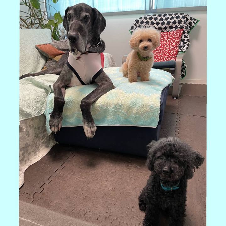 22f46477 6046 4835 bed6 fa00ec9b3744 1631746686102