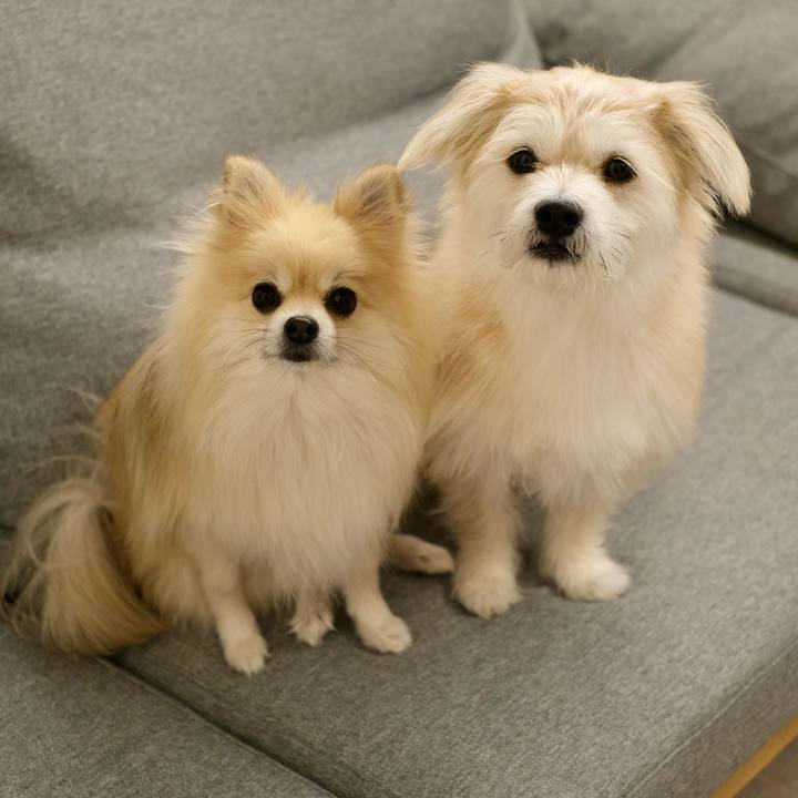 22f4c220 6c16 45e7 b3d6 019e884e43b3 1765576956495