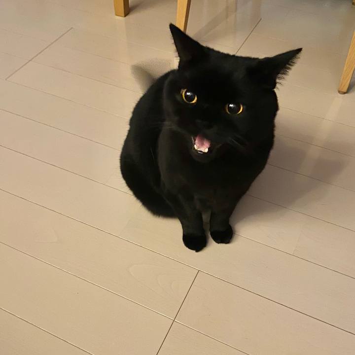 22f4ce48 241a 4965 98eb 7bbed0d26517 1698837069502