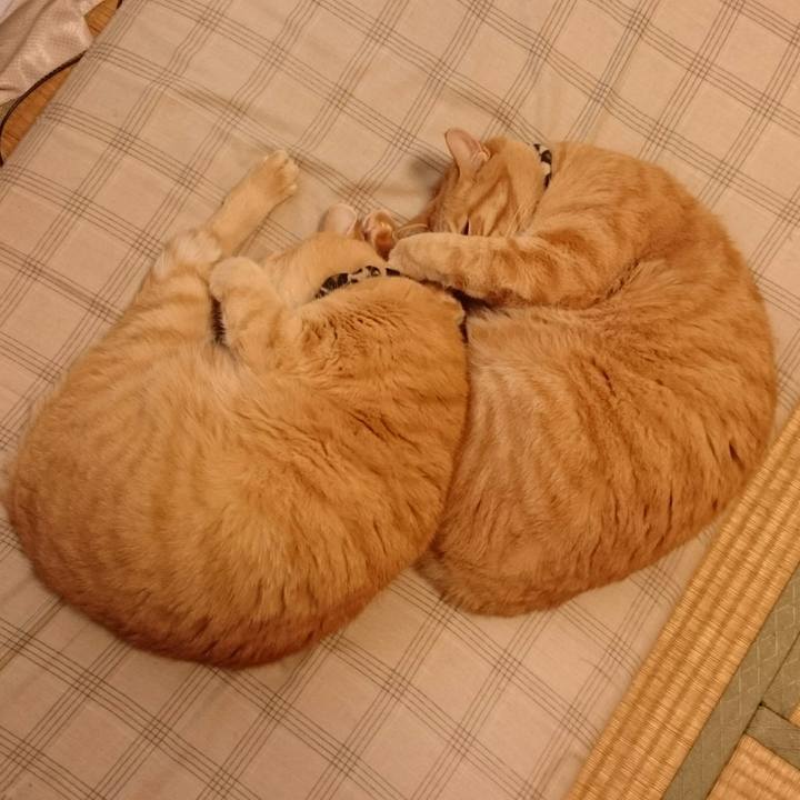 22f4fc24 5905 4a20 b2e2 d9cb29dbab24 1538204528048