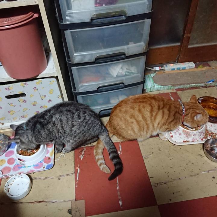 22f503c0 f8bd 4de6 8eda cdb098314f2f 1572426286958