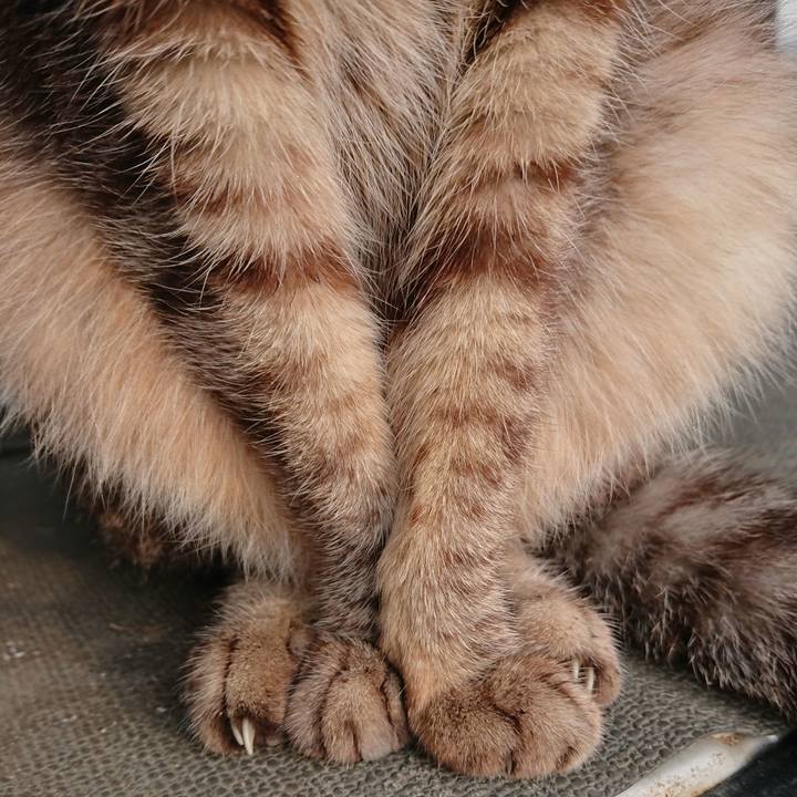 22f523c1 71b7 40f3 9894 896efb4124e4 1559681593427