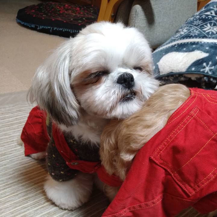 22f52ab7 9f63 427f 8099 975d1432c927 1612789687929