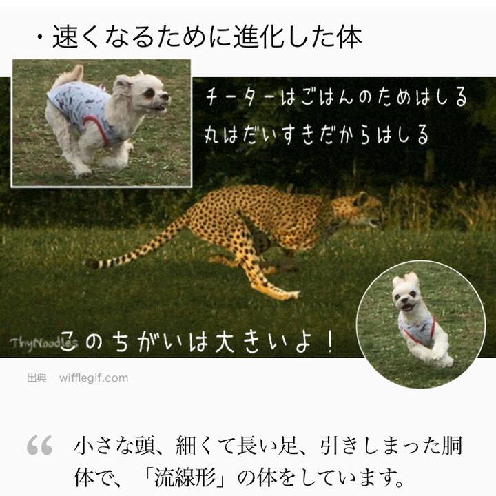 22f52d8d 2c50 4ebb bf4f 8e45844123ed 1528542038001