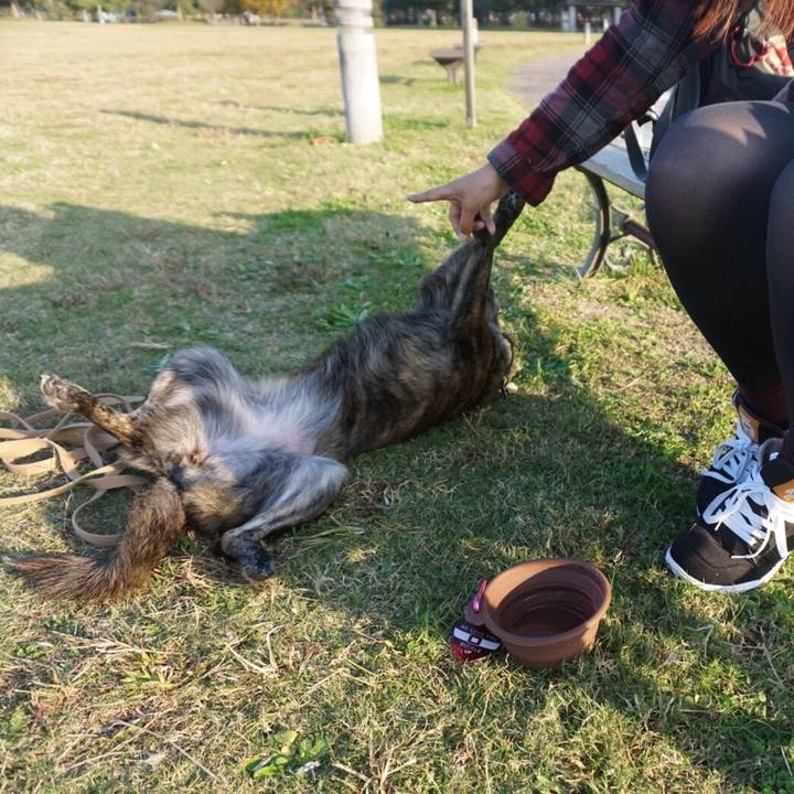 22f5d242 f9e3 433c ba33 85671343e6ed 1510791996887