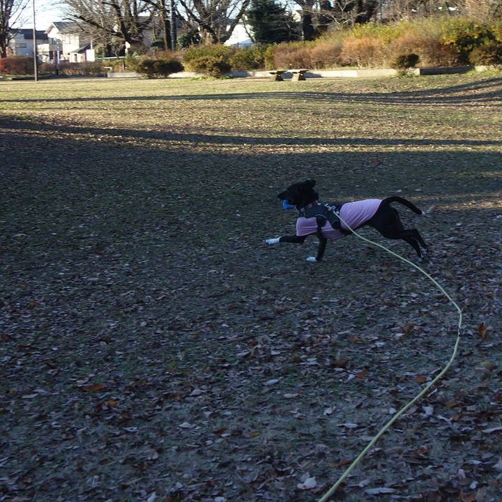 22f5da0e 1825 40c5 aa07 fa17fa560bd3 1639786256393