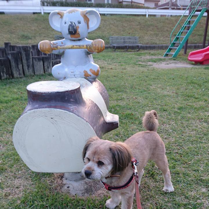 22f5dbe6 a84a 41d7 83cf ac954bb7e385 1510651212715