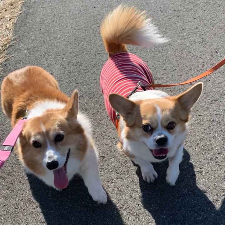 22f5e0dc 8a64 4d3f 978b 703f251021f3 1705645145386