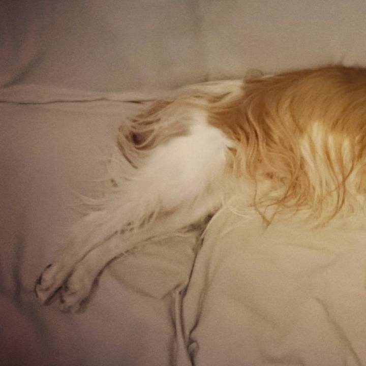 22f5e219 8f05 4255 8342 a864f4a4845e 1511787225733