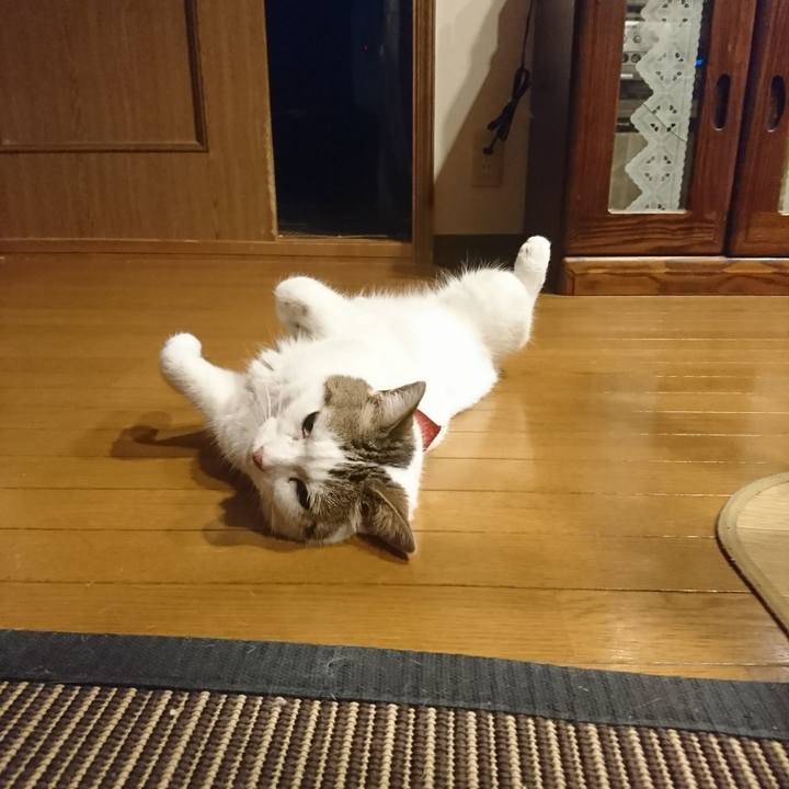 22f5f347 7fad 45d8 af00 dc52744853ba 1529597516581