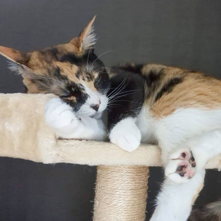 22f5f561 dfc9 4cf4 816f fa778a70330e 1684123937984