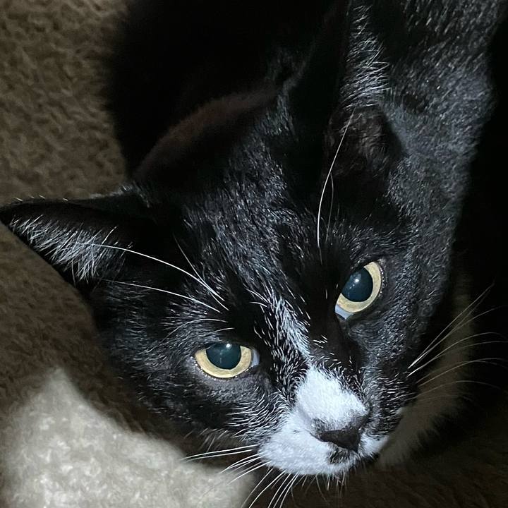 22f5fabd ffba 4132 a5b6 9f6ab8cda1d3 1737862582966